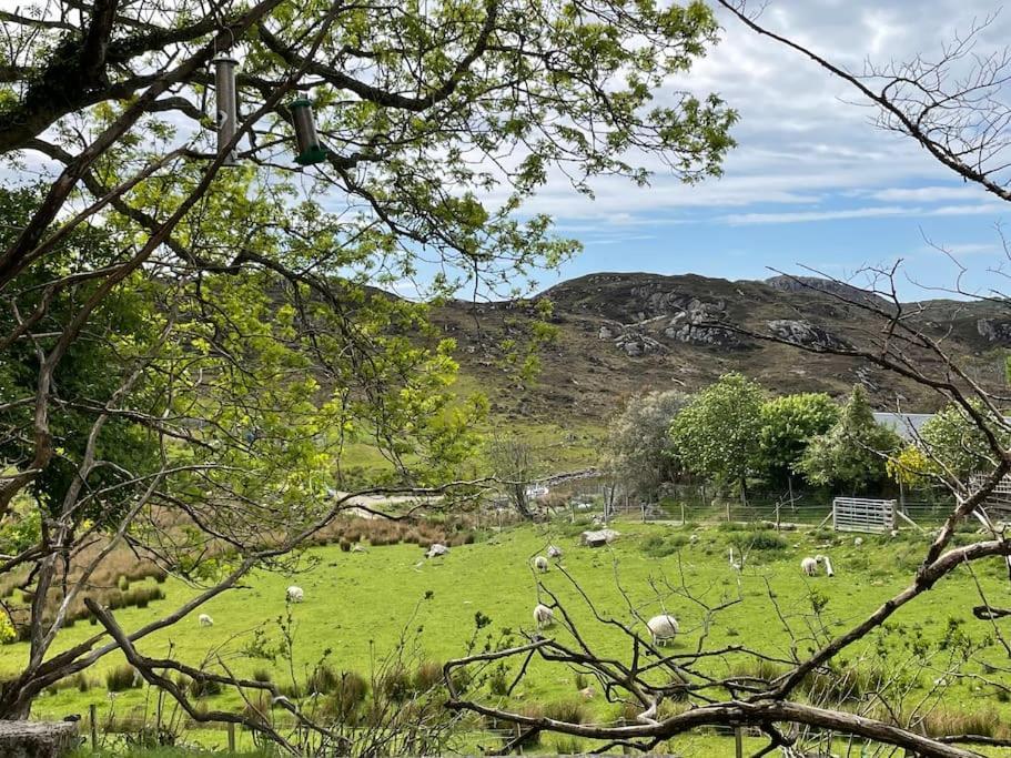 Beautiful Cottage In A Wonderful Highland Setting Drumbeg Eksteriør billede